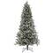 7.5 ft. Pre-Lit Feel Real® Snowy Poechmann Fir Artificial Cristmas Tree, Warm White LED Lights